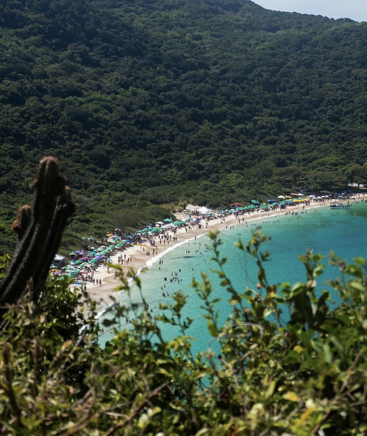 ARRAIAL DO CABO + RIO DE JANEIRO - RJ 22 A 24 NOVEMBRO 2024